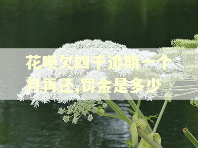 花呗欠四千逾期一个月再还,罚金是多少