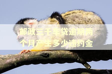 邮政三千车贷逾期两个月产生多少违约金
