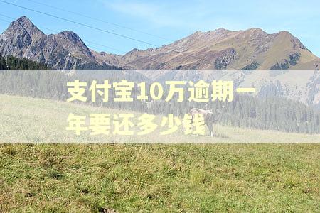 支付宝10万逾期一年要还多少钱