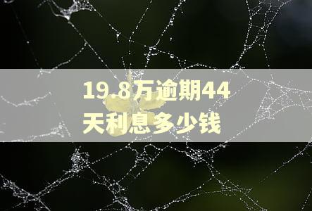 19.8万逾期44天利息多少钱
