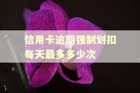 信用卡逾期强制划扣每天最多多少次