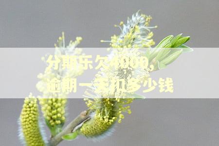 分期乐欠4000,逾期一天扣多少钱