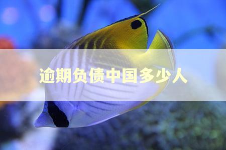 逾期负债中国多少人