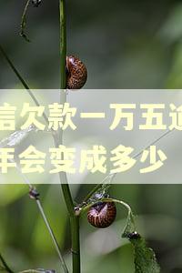 捷信欠款一万五逾期三年会变成多少