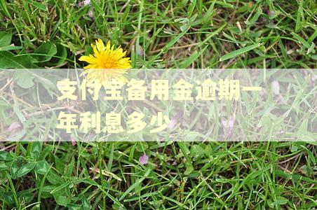 支付宝备用金逾期一年利息多少