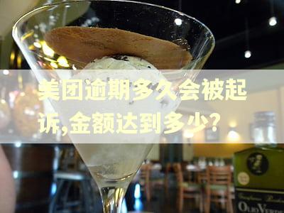 美团逾期多久会被起诉,金额达到多少?