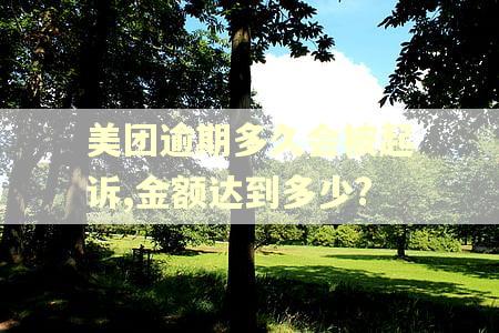 美团逾期多久会被起诉,金额达到多少?