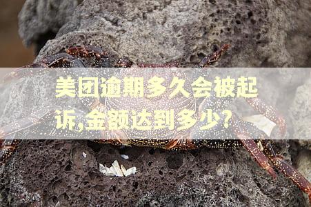 美团逾期多久会被起诉,金额达到多少?