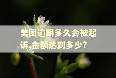 美团逾期多久会被起诉,金额达到多少?