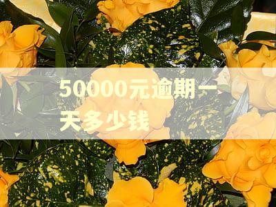 50000元逾期一天多少钱
