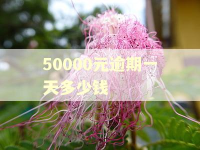 50000元逾期一天多少钱