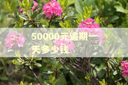 50000元逾期一天多少钱 50000元逾期一天多少钱