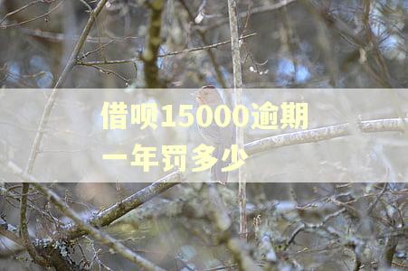 借呗15000逾期一年罚多少