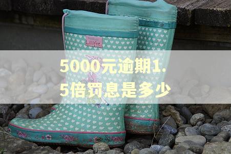 5000元逾期1.5倍罚息是多少