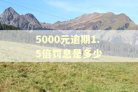 5000元逾期1.5倍罚息是多少