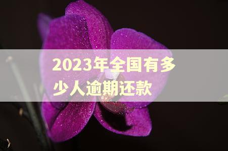 2023年全国有多少人逾期还款