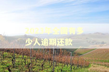 2023年全国有多少人逾期还款