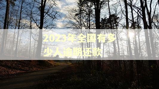 2023年全国有多少人逾期还款