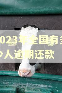 2023年全国有多少人逾期还款