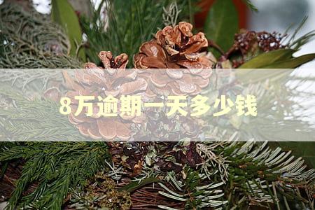 8万逾期一天多少钱