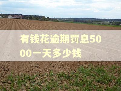有钱花逾期罚息5000一天多少钱