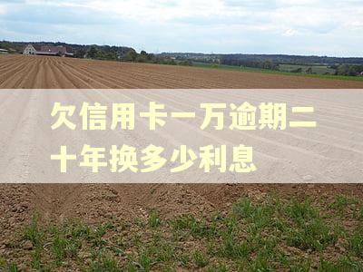 欠信用卡一万逾期二十年换多少利息