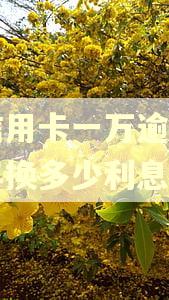 欠信用卡一万逾期二十年换多少利息