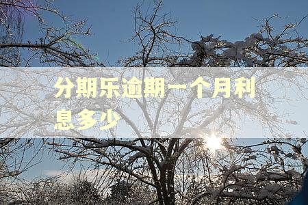 分期乐逾期一个月利息多少