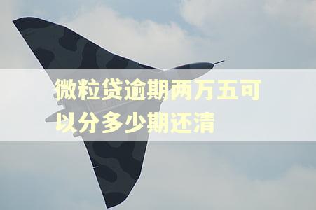 微粒贷逾期两万五可以分多少期还清