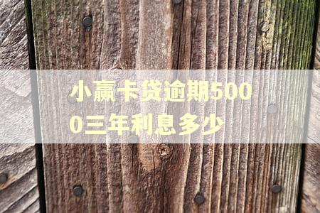 小赢卡贷逾期5000三年利息多少