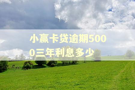小赢卡贷逾期5000三年利息多少