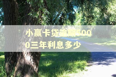 小赢卡贷逾期5000三年利息多少