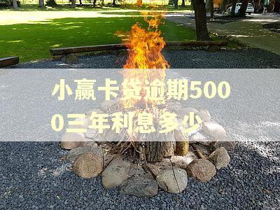 小赢卡贷逾期5000三年利息多少