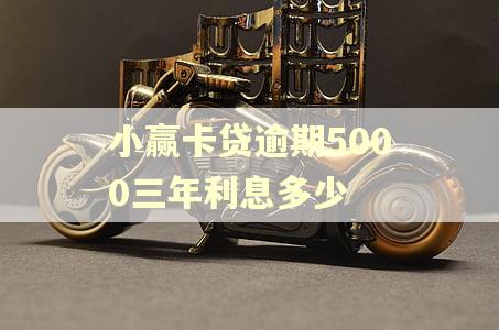 小赢卡贷逾期5000三年利息多少
