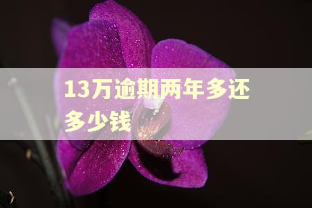 13万逾期两年多还多少钱
