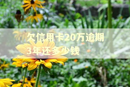 欠信用卡20万逾期3年还多少钱