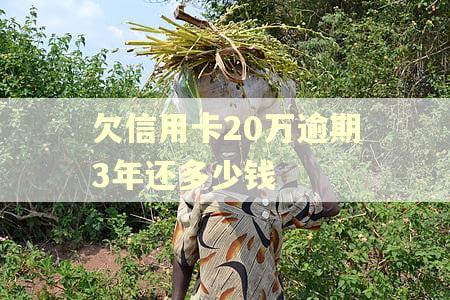 欠信用卡20万逾期3年还多少钱