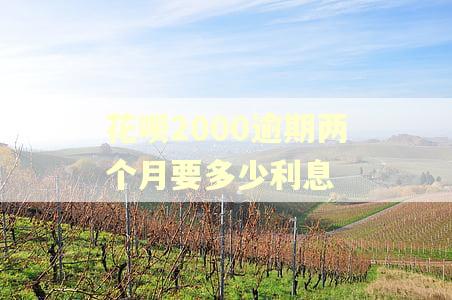 花呗2000逾期两个月要多少利息 花呗2000逾期两个月要多少利息