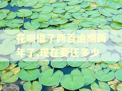 花呗借了两百逾期两年了,现在要还多少