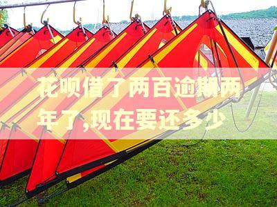花呗借了两百逾期两年了,现在要还多少