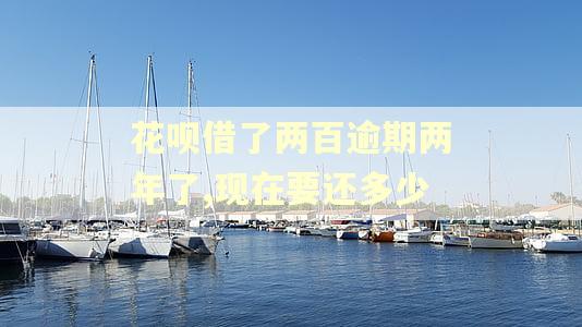 花呗借了两百逾期两年了,现在要还多少