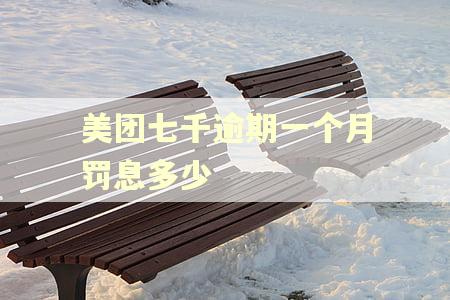 美团七千逾期一个月罚息多少