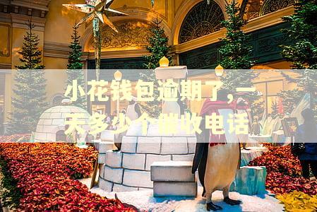 小花钱包逾期了,一天多少个催收电话
