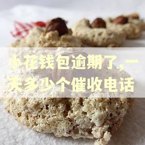 小花钱包逾期了,一天多少个催收电话 小花钱包逾期了,一天多少个催收电话