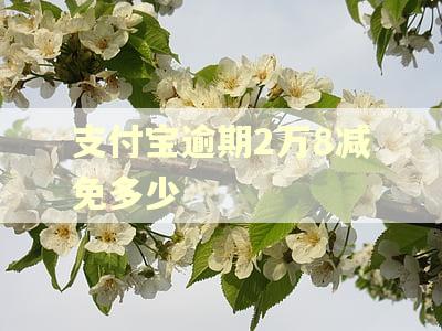 支付宝逾期2万8减免多少