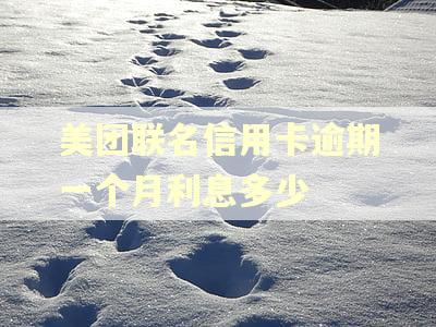 美团联名信用卡逾期一个月利息多少