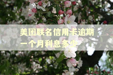 美团联名信用卡逾期一个月利息多少