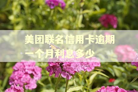 美团联名信用卡逾期一个月利息多少