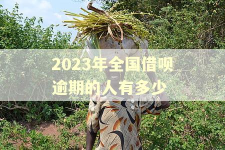 2023年全国借呗逾期的人有多少
