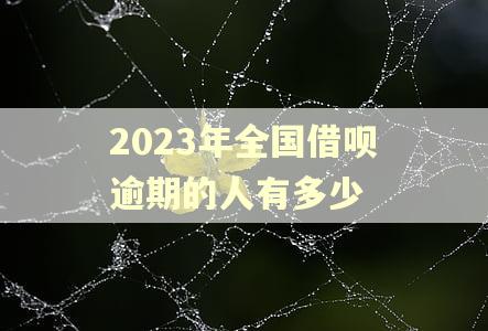 2023年全国借呗逾期的人有多少